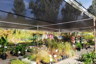 Gazebo Gardens
