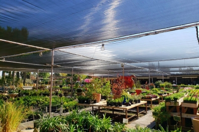 Gazebo Gardens