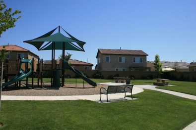 Patio, Pergola & Playground